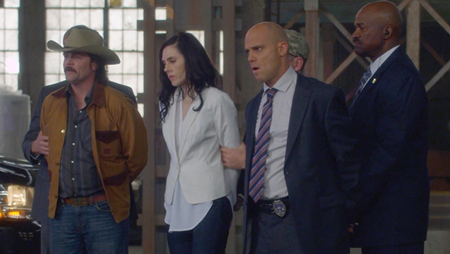 Adrienne Wilkinson A Burning Dog