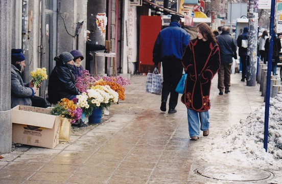 Adrienne Wilkinson Elizabeth Gracen
