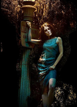 Adrienne Wilkinson lamppost