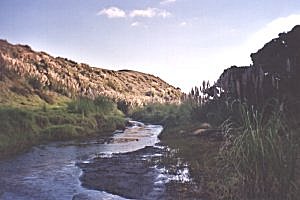 Copyright: Adrian Petford  20 March 2000