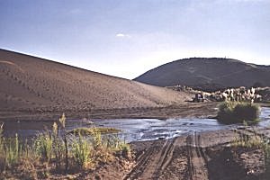 Copyright: Adrian Petford  20 March 2000