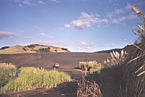 Copyright: Adrian Petford  20 March 2000