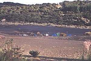 Copyright: Adrian Petford  20 March 2000