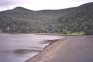 Copyright: Adrian Petford  21 March 2000