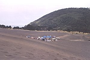 Copyright: Adrian Petford  21 March 2000