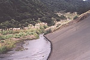 Copyright: Adrian Petford  21 March 2000