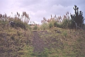 Copyright: Adrian Petford  21 March 2000