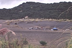 Copyright: Adrian Petford  21 March 2000