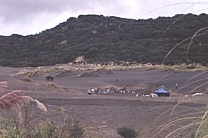 Copyright: Adrian Petford  21 March 2000