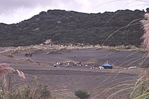 Copyright: Adrian Petford  21 March 2000