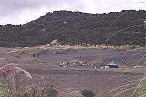 Copyright: Adrian Petford  21 March 2000