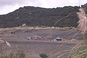 Copyright: Adrian Petford  21 March 2000