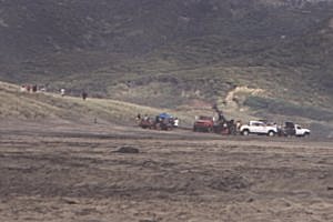 Copyright: Adrian Petford  21 March 2000