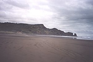 Copyright: Adrian Petford  21 March 2000